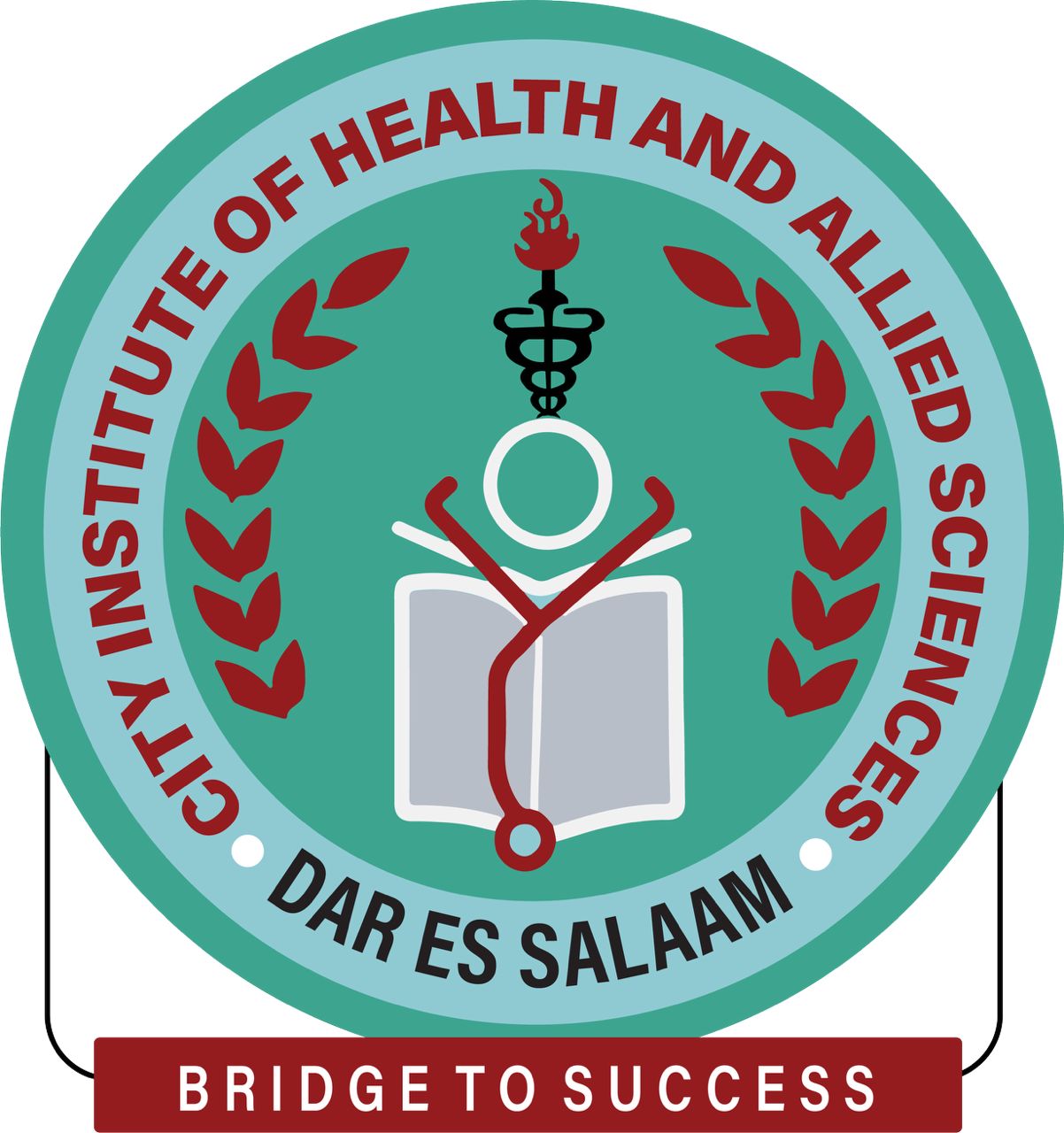CIHAS Logo